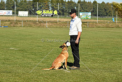Amy von der schwarzen Mamba