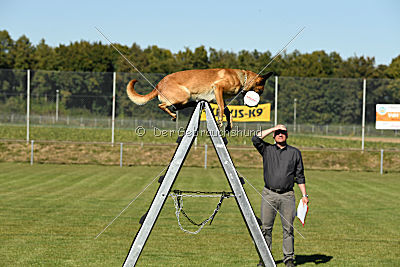 Amy von der schwarzen Mamba
