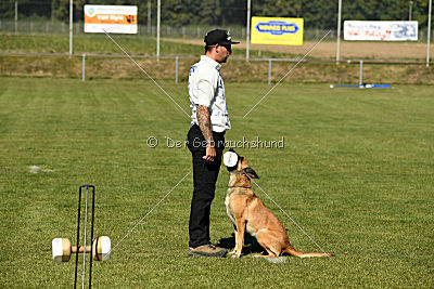 Amy von der schwarzen Mamba