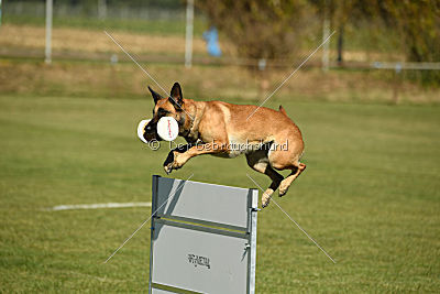 Amy von der schwarzen Mamba