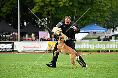 Amy von der schwarzen Mamba