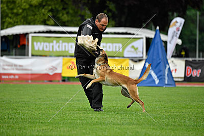 Amy von der schwarzen Mamba