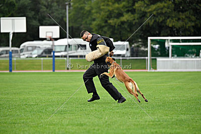 Amy von der schwarzen Mamba