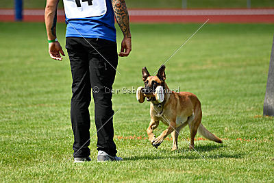 Amy von der schwarzen Mamba