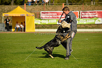 Andra vom Bergmanns-Weg