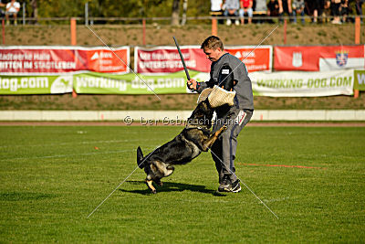 Andra vom Bergmanns-Weg