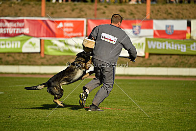 Andra vom Bergmanns-Weg