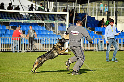 Andra vom Bergmanns-Weg