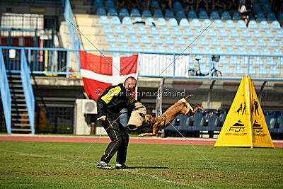 Angry Bird Manlihaus