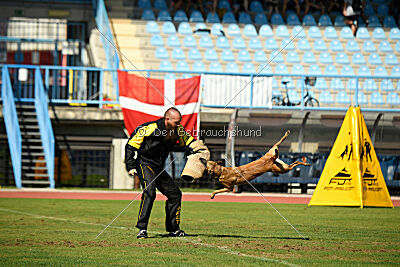 Angry Bird Manlihaus