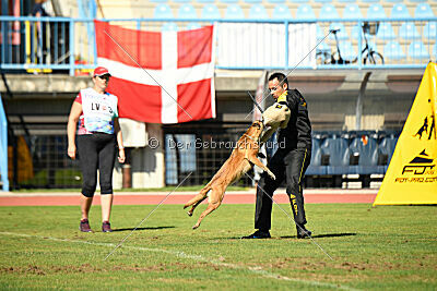 Angry Bird Manlihaus