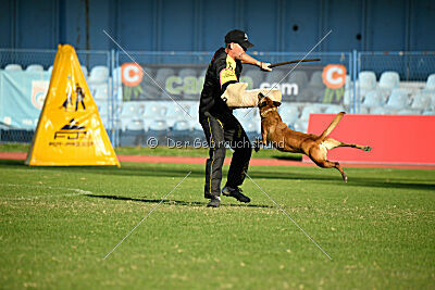 Angry Bird Manlihaus