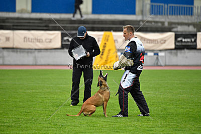 Angry Bird Manlihaus