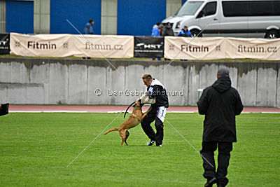 Angry Bird Manlihaus