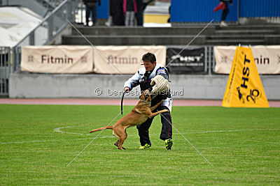 Angry Bird Manlihaus