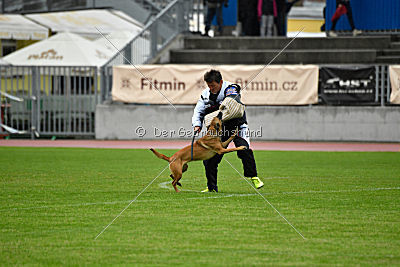 Angry Bird Manlihaus