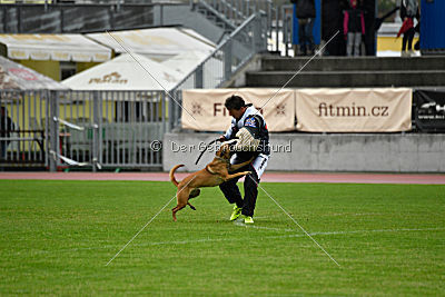 Angry Bird Manlihaus