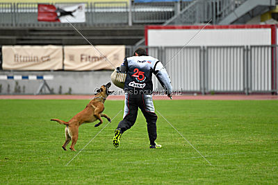 Angry Bird Manlihaus