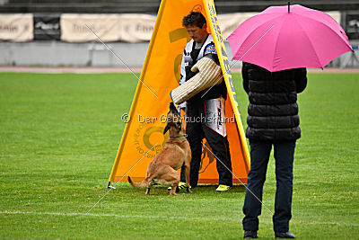 Angry Bird Manlihaus