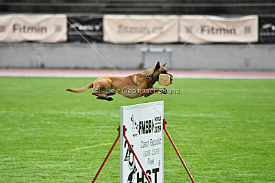 Angry Bird Manlihaus