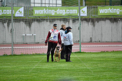 Angry Bird Manlihaus