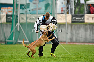 Angry Bird Manlihaus