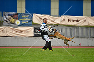 Angry Bird Manlihaus