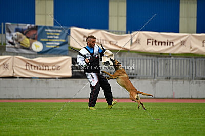 Angry Bird Manlihaus