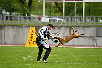 Angry Bird Manlihaus