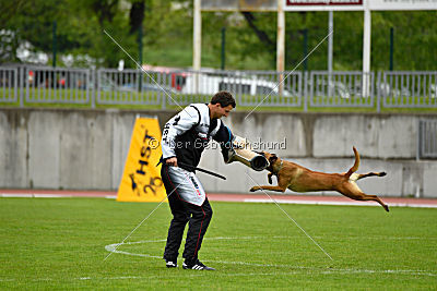 Angry Bird Manlihaus