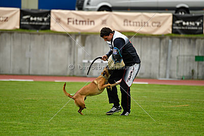 Angry Bird Manlihaus