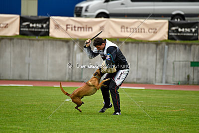 Angry Bird Manlihaus