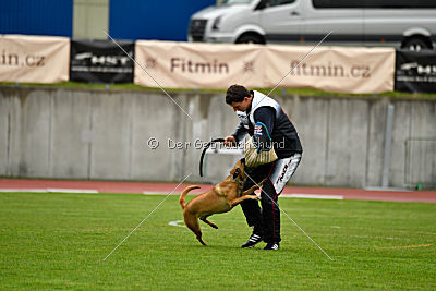 Angry Bird Manlihaus