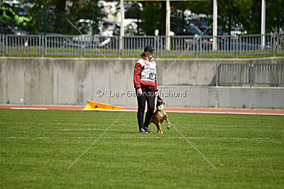 Angry Bird Manlihaus