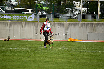 Angry Bird Manlihaus