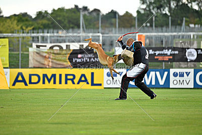 Angry Bird Manlihaus