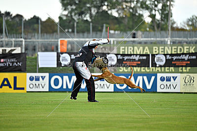 Angry Bird Manlihaus