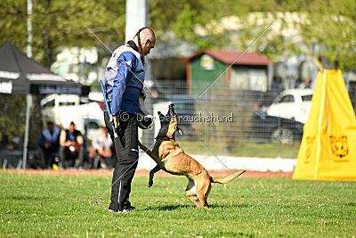 Angry Bird Manlihaus