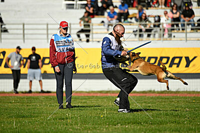 Angry Bird Manlihaus