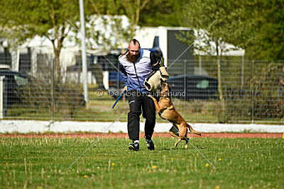 Angry Bird Manlihaus