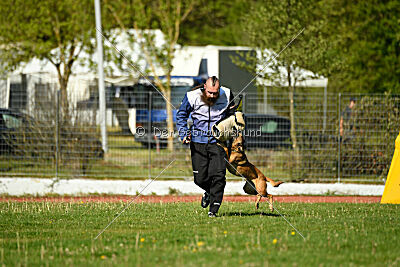 Angry Bird Manlihaus