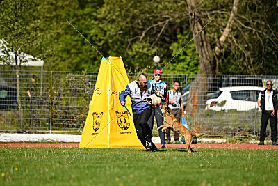 Angry Bird Manlihaus