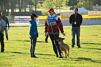 Angry Bird Manlihaus