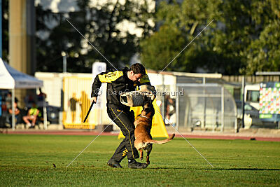Angry Fox Amidala Padmé