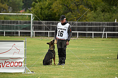 Angry von Starker Wille