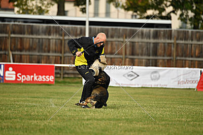 Angry von Starker Wille