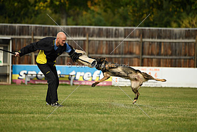 Angry von Starker Wille