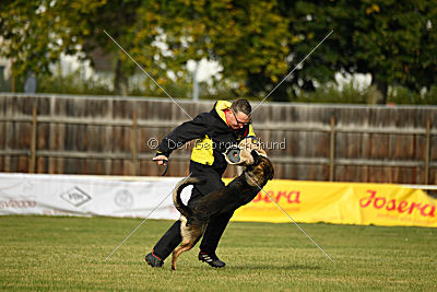 Angry von Starker Wille