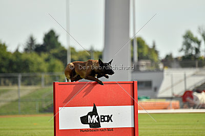 Anima ex mera passio