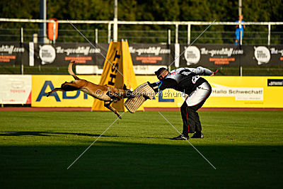 Anima ex mera passio